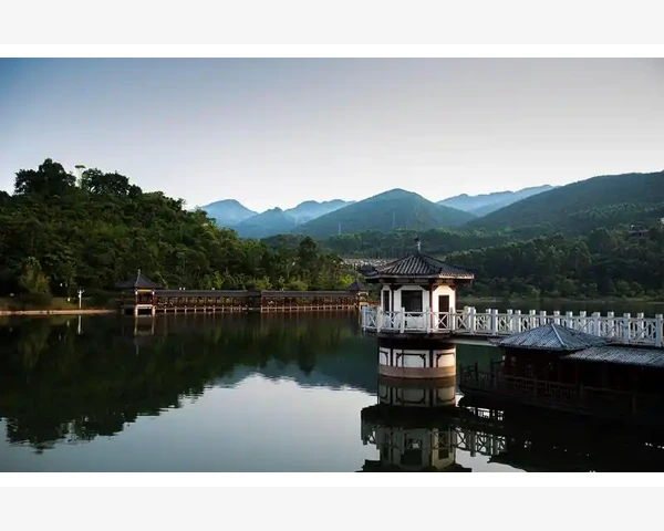 半夜饥肠辘辘，来一份中医科普，告诉你该吃什么好！
