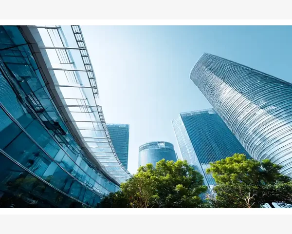 产后调养必知：美味食疗助你重拾活力