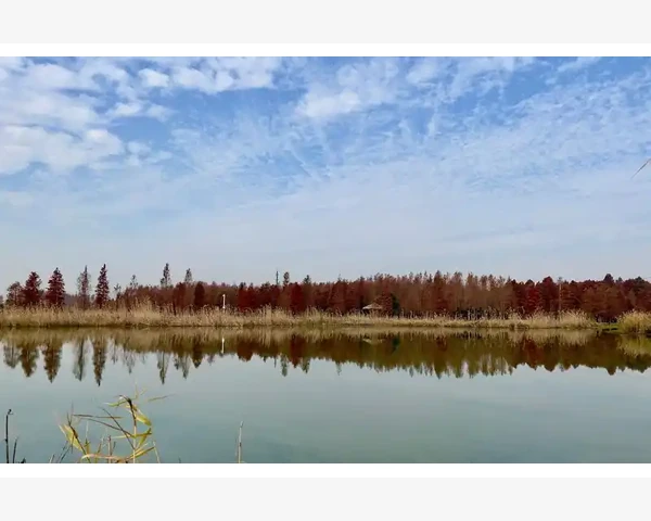 小儿化痰化痰颗粒：缓解宝宝咳嗽，找回健康快乐童年！